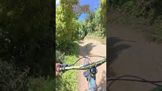 6 Minutes of flow trail in 1 minute  IKIGAI WGTN mtb wellington dji djiaction5pro [upl. by Red]