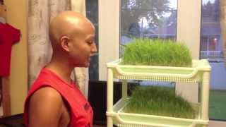 Wheatgrass Shots to help fight my Cancer [upl. by Osi]