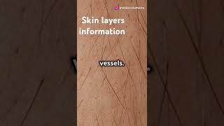 How much layer of skin do we have  Skin layers information [upl. by Su134]