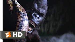 King Kong 59 Movie CLIP  Snake vs Kong 1976 HD [upl. by Gusba334]