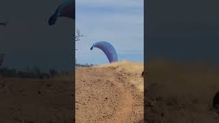 Bidwell Park hiking and Chico california [upl. by Camus881]