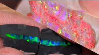 BATTLE Black Opal vs White Opal HeadtoHead [upl. by Mandell]