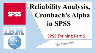 Reliability Analysis Cronbach Alpha in SPSS Lesson 6 [upl. by Weingartner]