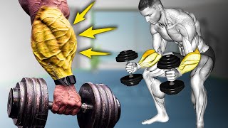 Build Big Forearms Fastest 5 Effective Exercise [upl. by Voleta295]