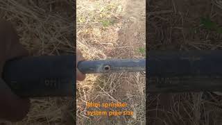 How to set mini sprinkler in pipe shortvideo vlog travel youtubevloggers [upl. by Ardnala]