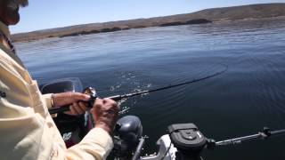 Fishing For Flaming Gorge Reservoir Kokanee amp Rainbows [upl. by Punke]