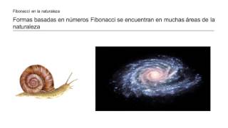 Estimación con puntos con Fibonacci [upl. by Sheffie]