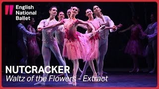 Nutcracker Waltz of the Flowers extract  English National Ballet [upl. by Ivetts]