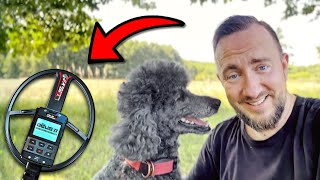 Anwohner wollen dass wir HIER ❌ SUCHEN 🔍 Zeitreise in die Vergangenheit mit Metalldetektor amp Hund 🐩 [upl. by Anin821]