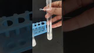 Activity 110 What happens when Sodium sulphate reacts with Barium Chloride  Class 10 Science [upl. by Nhguahs]