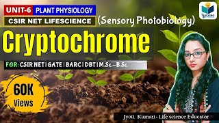 CRYPTOCHROME  CSIRNET  GATE  BARC  Plant Biology  Sensory Photobiology [upl. by Yttocs714]