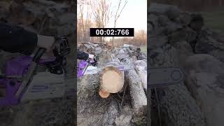 Pink Way Chainsaw VS Stihl MSA 300 C Chainsaw [upl. by Dorene]