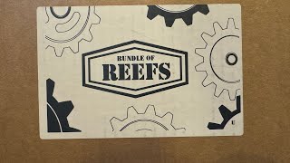 The unboxing of a Reefs RC Ultimate Bundle [upl. by Rabkin]