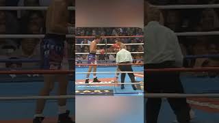 boxing canelo box viralvideo knockout reels sports shorts boxeo chavez oscardelahoya [upl. by Nnayhs751]