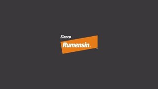 Committed to Quality Why Rumensin® Is Trusted by Generations of Producers  Elanco Animal Health [upl. by Jed]