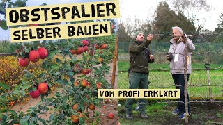 Obstspalier bauen  stabiles Gerüst für Obstbäume und Sträucher einfach selber bauen [upl. by Nnave346]