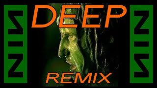 Nine Inch Nails  Deep REMIX [upl. by Malinde]