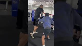 Working🐺💨 k9 boxer training mittwork fighter boxingpadwork motivation [upl. by Snodgrass]