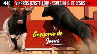 ⚡️ ACONTECIMIENTO IMPACTANTE ⚡️ Toros en VINARÒS Especial GREGORIO DE JESÚS con sus mejores reses [upl. by Arahc396]