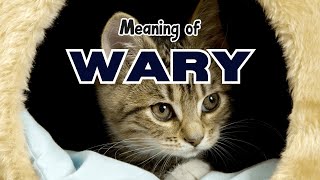 What is the meaning of Wary [upl. by Osnofledi]