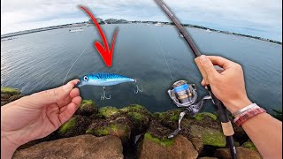 SALTWATER BANK FISHING MAYHEM  This Is My NEW FAVORITE LURE [upl. by Utham716]