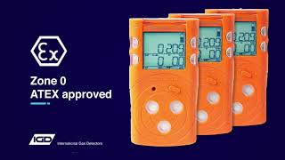 MGT Portable Multi Gas Detector for CO H2S Flam and Oxygen [upl. by Serdna2]