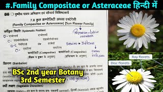 Family Compositae or Asteraceae in hindi BSc 2nd year Botany 3rd Semester [upl. by Pradeep]