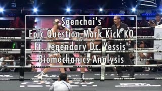 Saenchais Epic Question Mark Kick KO  Biomechanics Analysis [upl. by Weinshienk]