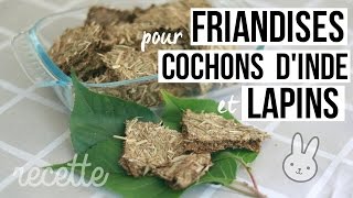 Recette de friandises pour lapins et cochons dinde [upl. by Bahner35]