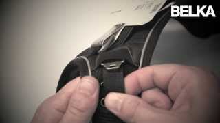 Belka Dog Harness  how to adjust it [upl. by Assed84]