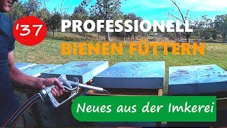 Bienenvölker professionell und richtig einfüttern  Neues aus der Imkerei37 [upl. by Nereen]