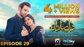 DileNadan Episode 29  Eng Sub  Mikaal Zulfiqar  Amar Khan  Ali Abbas  19th November 2024 [upl. by Sollie175]