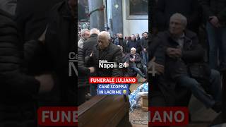 Funerale Antonio Juliano CANÉ scoppia in lacrime 😭🥺 Juliano [upl. by Repard]