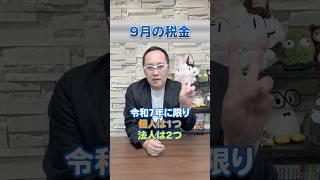 【9月の税金】何があるか、ここで整理しましょう！ 所得税 予定納税 決算 [upl. by Hunley]