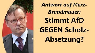 Merz braucht AfDStimmen evtl um Scholz zu stürzen und Kanzler zu werden [upl. by Leora]