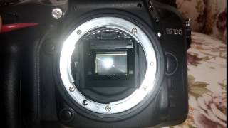 Nikon D7100 Shutter Sound [upl. by Acinaj]