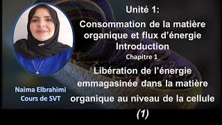 Cours SVT 2 Bac Biof Unité 1  Consommation de la matière organique et flux d’énergie partie 1 [upl. by Sacram805]