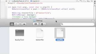 Objective C Programming Tutorial  61  Copy and Rename Files [upl. by Mendelson175]