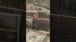 Formwork of shear wall construction [upl. by Marjorie]