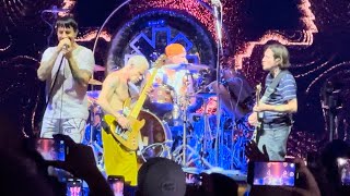 Red Hot Chili Peppers  Scar Tissue Live in West Palm Beach Florida  June 18 2024 [upl. by Burnside]