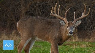 CRAZY Wide Buck at Close Range Adam LaRoche in Kansas Monster Bucks Monday [upl. by Ahseer469]