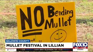 Mullet Festival in Lillian [upl. by Mcmahon]