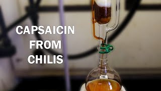 How to extract capsaicinoids from chili peppers [upl. by Sitrik261]