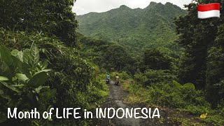 One month of LIFE in INDONESIA 🇮🇩⛰️🌊 [upl. by Llyrad]