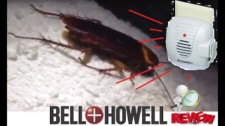 Bell amp Howell Ultrasonic Pest Repeller REVIEW Unboxing works Palmetto Bugs ROACHES Insects Kitchen [upl. by Tildie170]