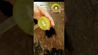 Growing Kiwi fruit from scratch 🥝 shorts fruit kiwi garden scratch [upl. by Ahsir938]