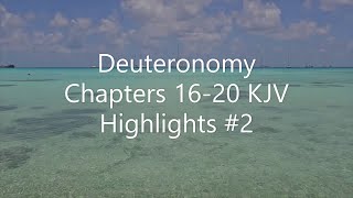 Deuteronomy Chapters 1620 KJV Highlights 2 [upl. by Lurlene12]