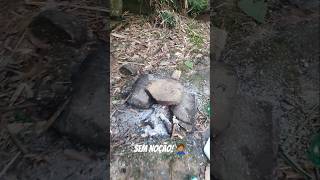 Preserve a natureza Encontrei lixo deixado por pessoas SEM NOÇÃO 🤦🏽‍♂️ natureza preserveanatureza [upl. by Chenee716]