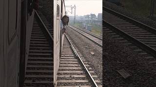 Just feel🥰neature train trendingonshorts traveling TheSumedha14 snehabakli [upl. by Ynagoham151]