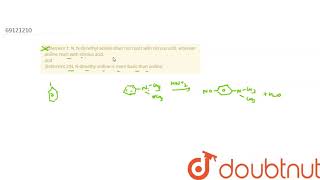 Statement 1 N Ndimethyl aniline does not react with nitrous acid wher [upl. by Angelita]